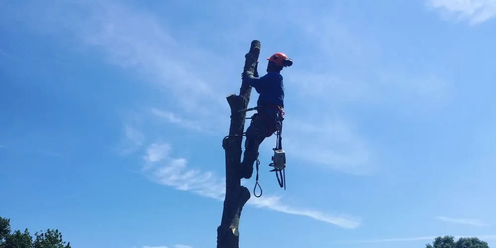 Custom garden landscaping in Rocky Point, NY by Castro Landscaping