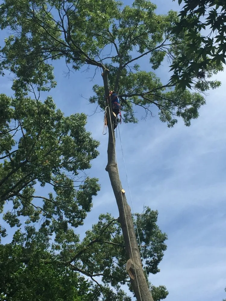 Professional landscape design experts serving Rocky Point, NY - Castro Landscaping