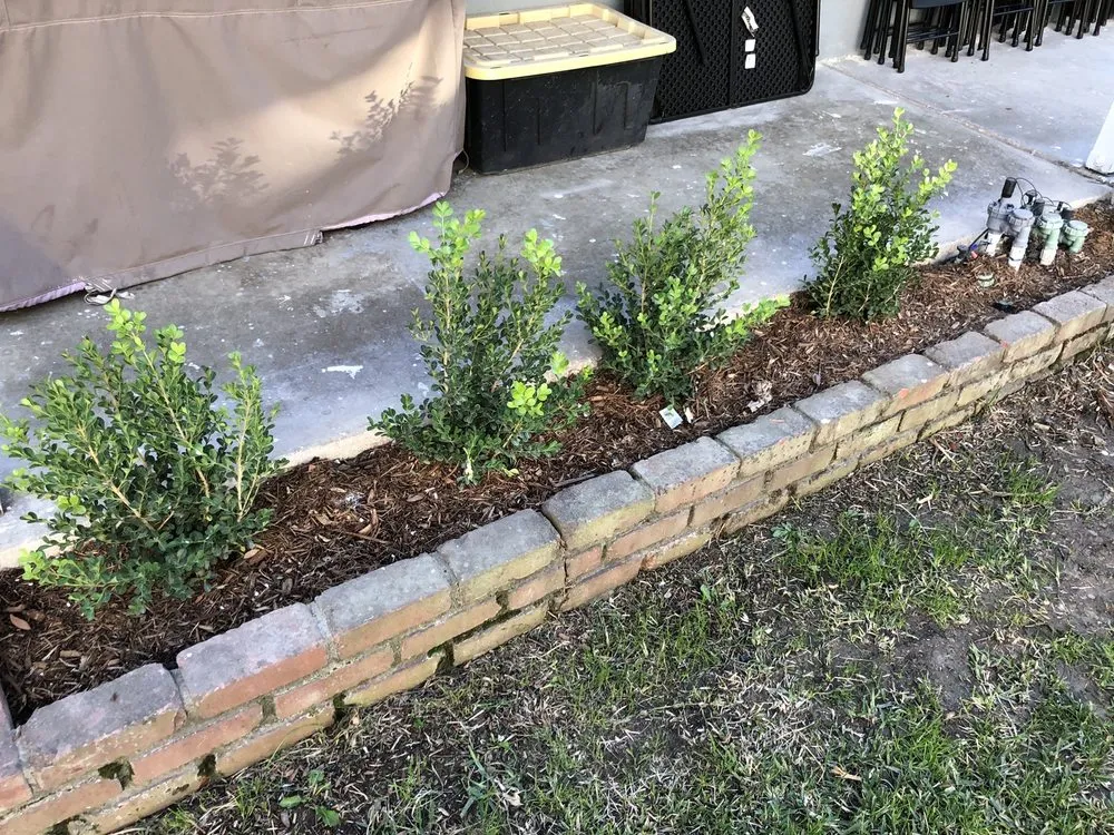 Professional yard cleanup service in Los Angeles, CA - Castro Landscaping Service