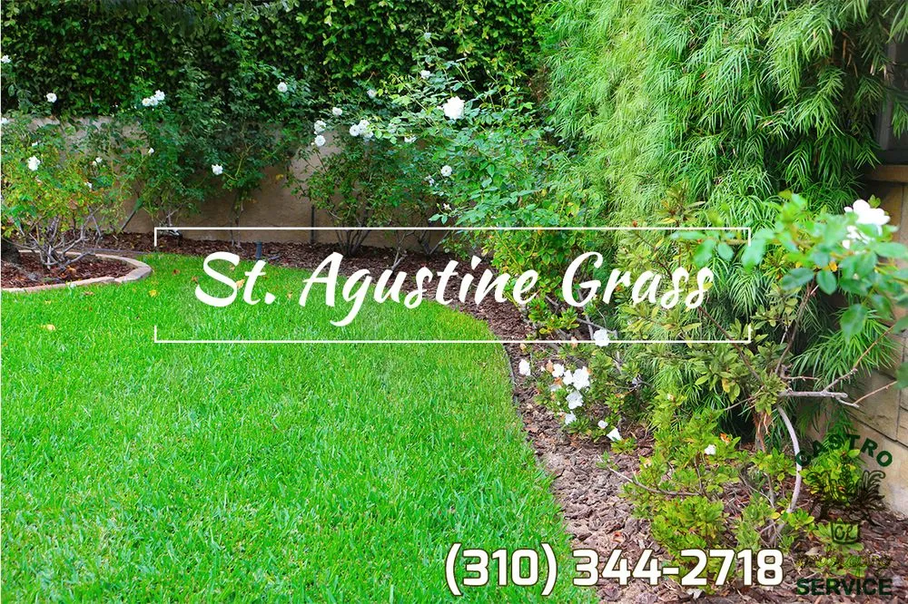 Affordable garden landscaping in Los Angeles, CA - Castro Landscaping Service