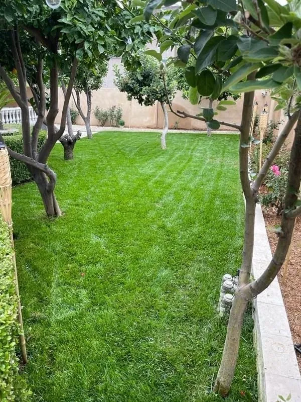 Affordable landscaping services for outdoor upgrades across Los Angeles, CA - Castro Landscaping Service