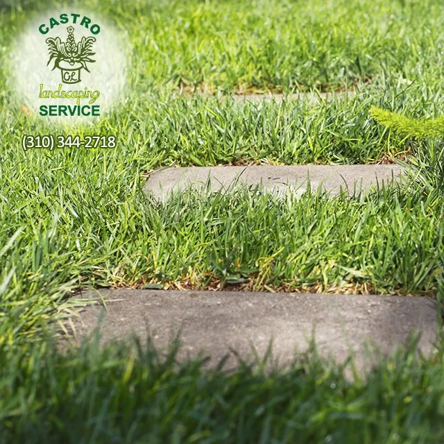 Affordable landscape design in Los Angeles, CA by Castro Landscaping Service