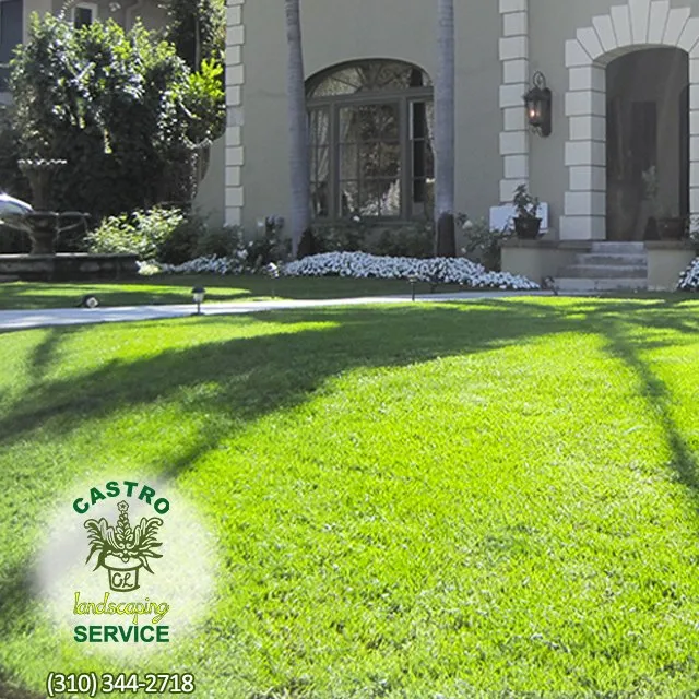 Local lawn care service experts serving Los Angeles, CA - Castro Landscaping Service