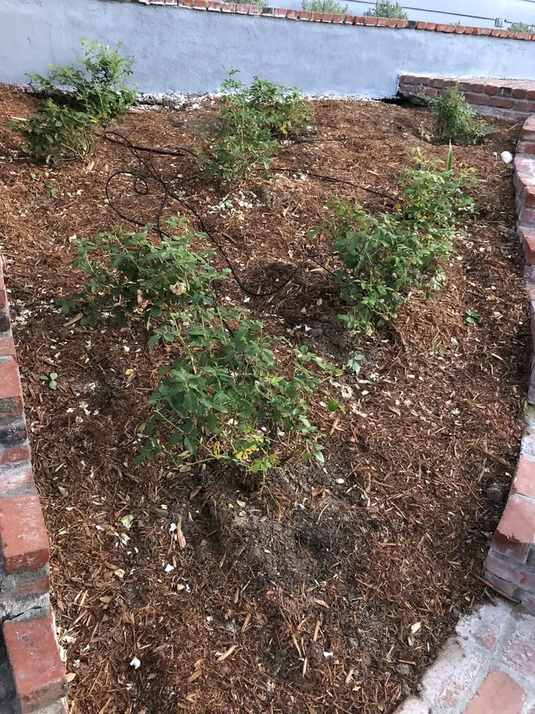 Professional landscape installation experts serving Los Angeles, CA - Castro Landscaping Service