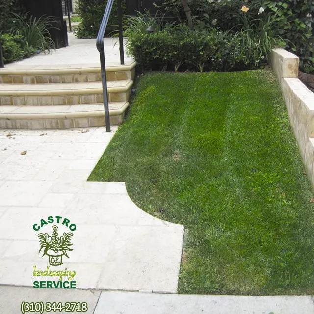 Reliable lawn mowing service for year-round maintenance in Los Angeles, CA by Castro Landscaping Service