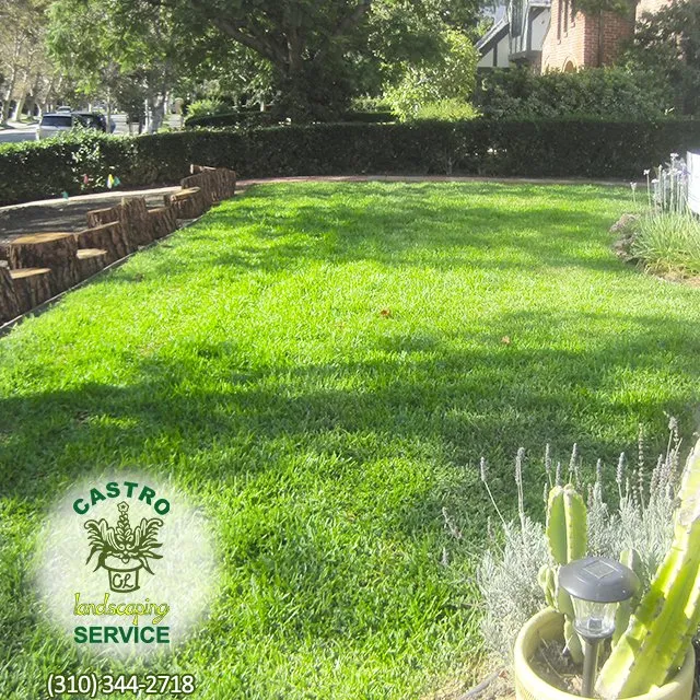 Expert outdoor landscaping in Los Angeles, CA - Castro Landscaping Service