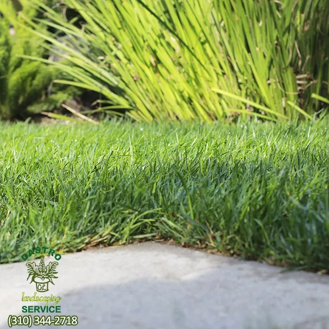 Professional lawn mowing service experts serving Los Angeles, CA - Castro Landscaping Service