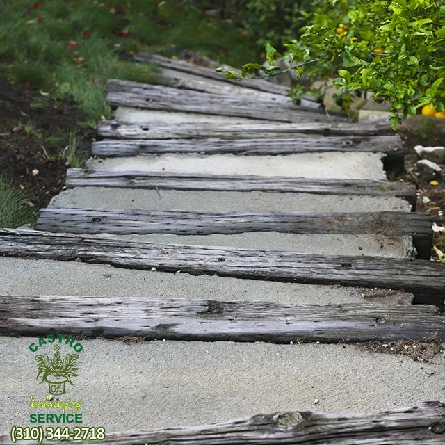 Affordable lawn care service experts serving Los Angeles, CA - Castro Landscaping Service