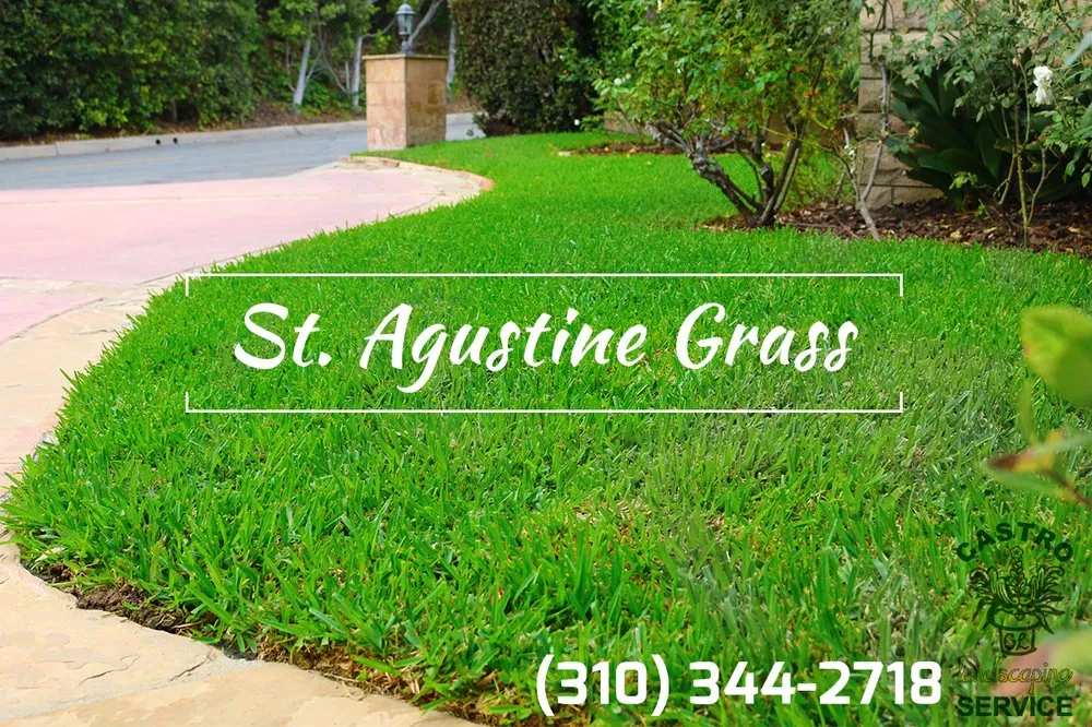 Custom garden landscaping in Los Angeles, CA - Castro Landscaping Service