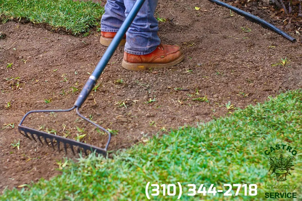 Top-rated yard cleanup service experts serving Los Angeles, CA - Castro Landscaping Service