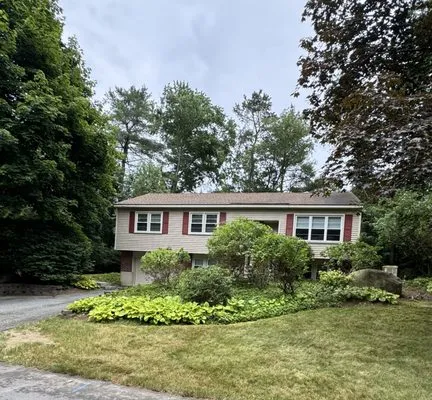 Castro Landscaping Services