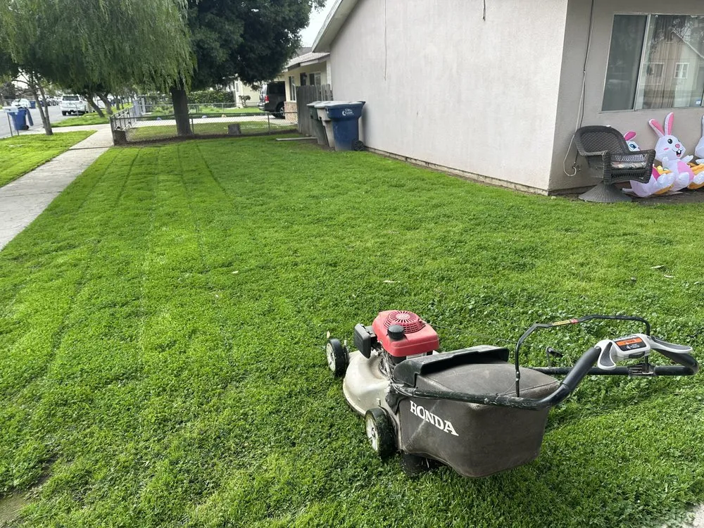 Expert landscape installation for outdoor upgrades across Tulare, CA - Castro Landscaping