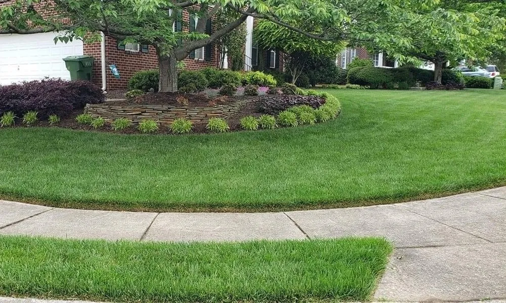 Professional residential landscaping experts serving Tulare, CA - Castro Landscaping