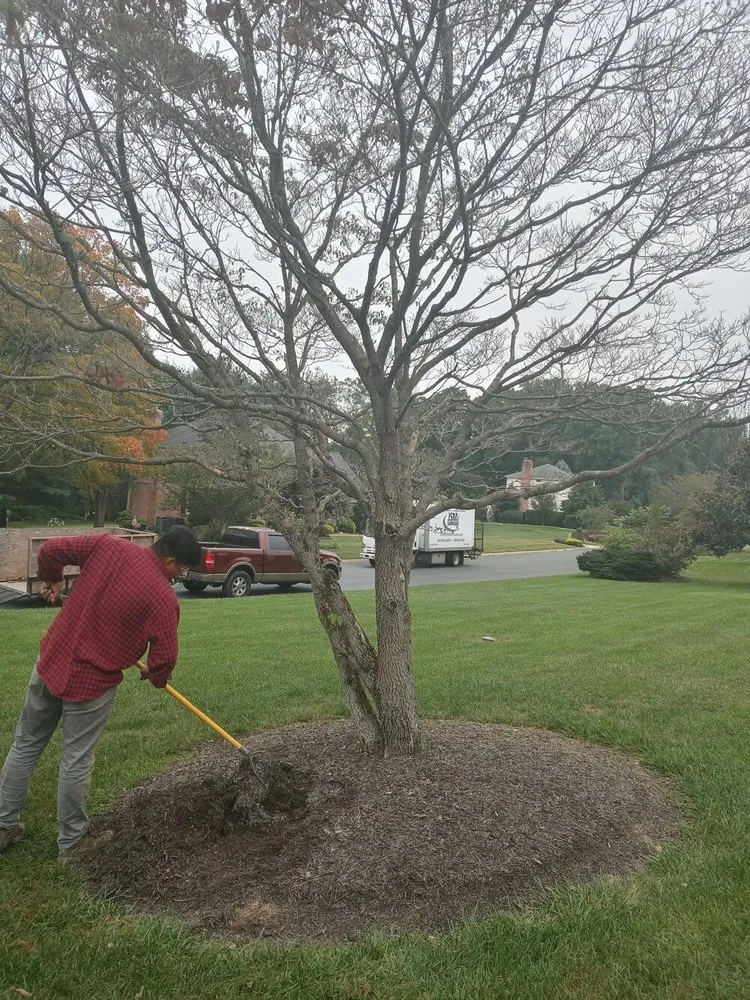 Trusted lawn care service for year-round maintenance in Baltimore, MD by Castro Lawn & Tree Care