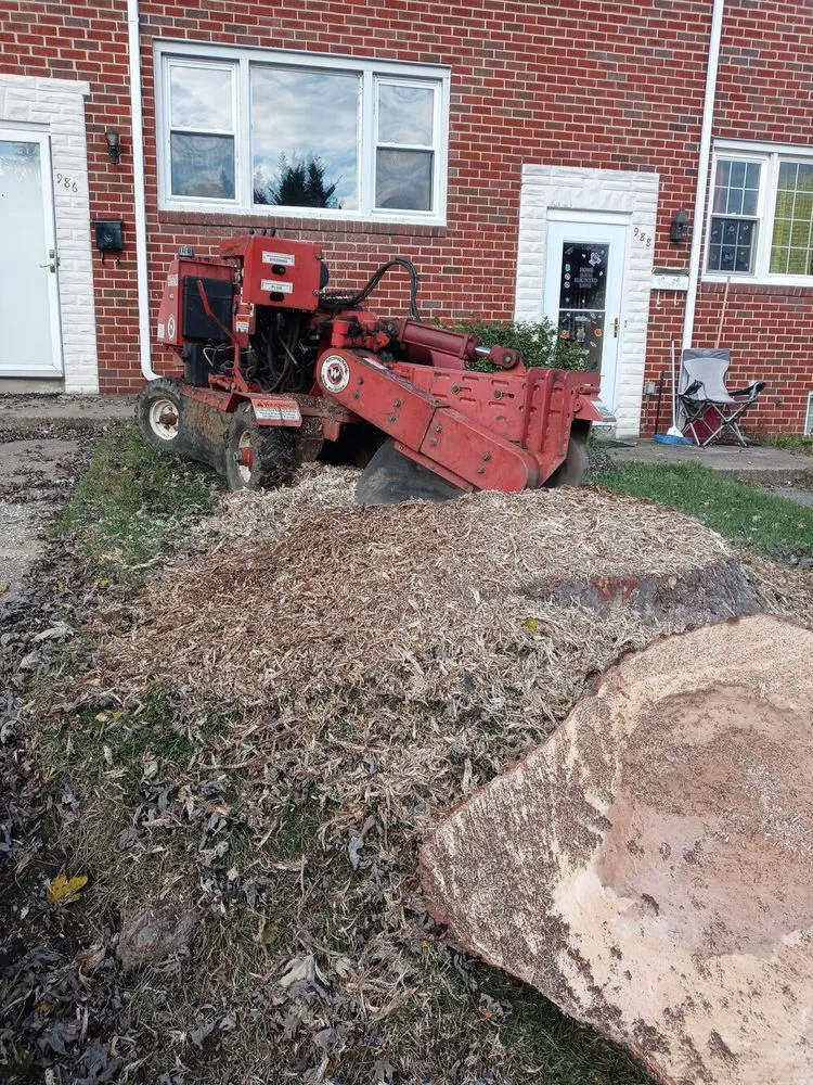 Trusted landscaping services near you across Baltimore, MD - Castro Lawn & Tree Care