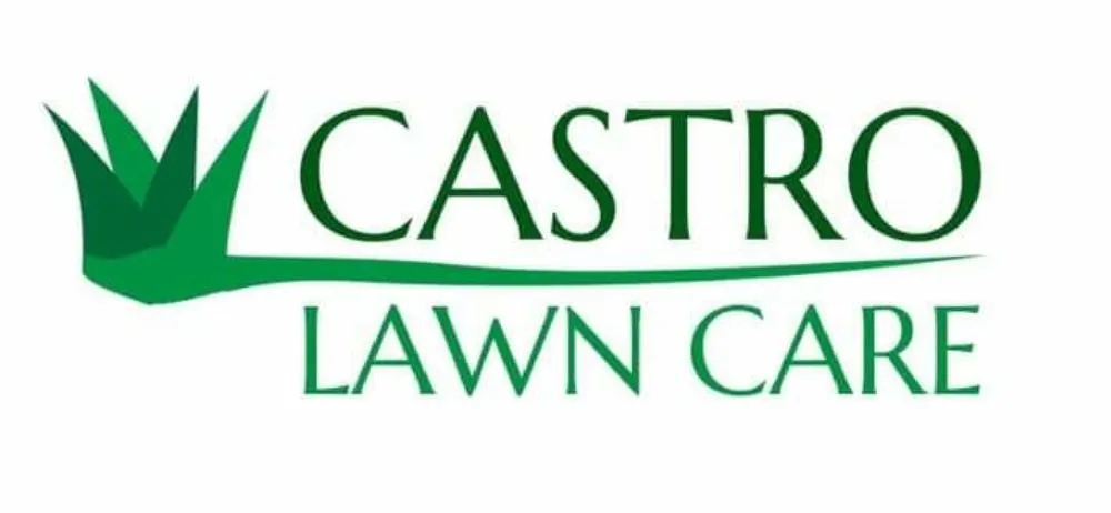 Trusted lawn care service in Burnsville, MN by Castro Lawn Care