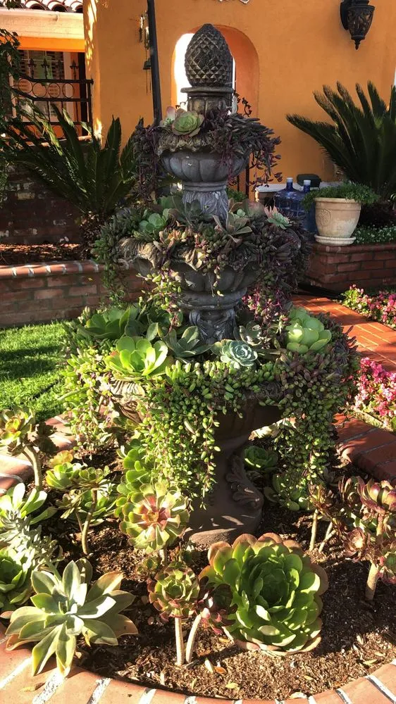 Top-rated landscape installation experts serving Santa Monica, CA - Castro Lawncare