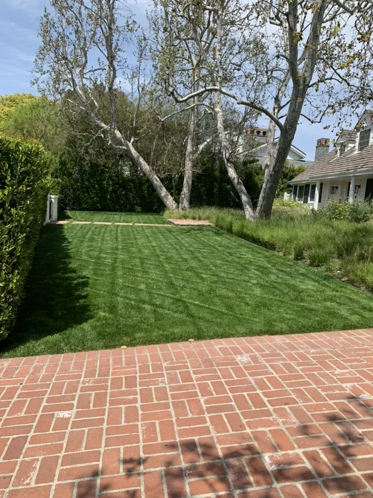 Trusted lawn mowing service experts serving Santa Monica, CA - Castro Lawncare