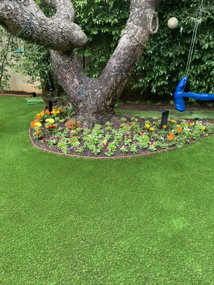 Affordable yard cleanup service experts serving Santa Monica, CA - Castro Lawncare