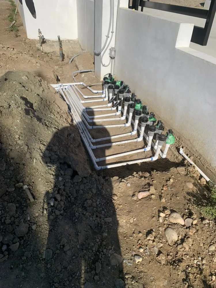 Trusted yard maintenance with custom design in Santa Monica, CA by Castro Lawncare