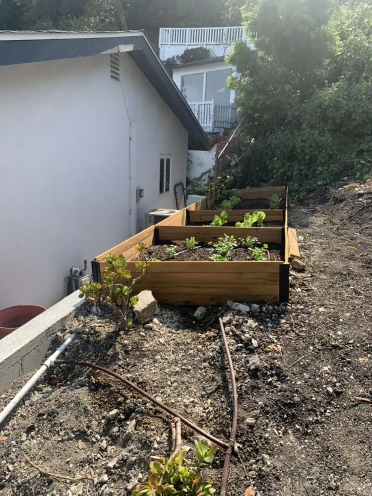 Local garden landscaping for year-round maintenance in Santa Monica, CA by Castro Lawncare