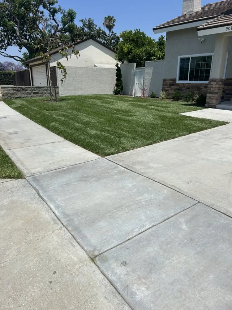 Expert landscape design near you in Santa Monica, CA by Castro Lawncare