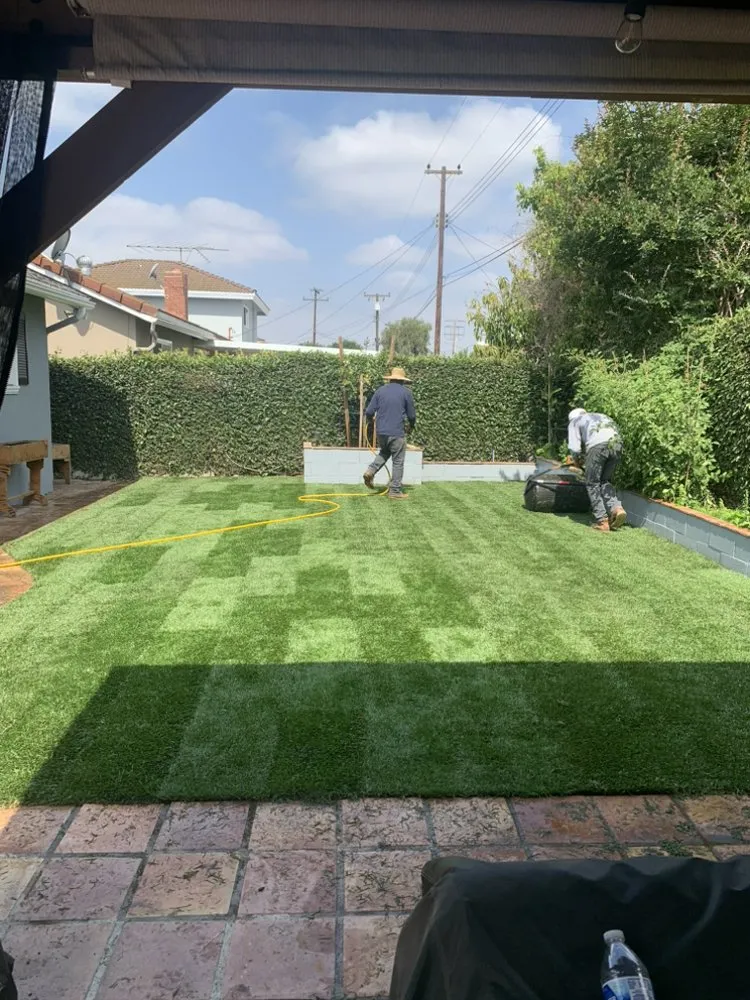 Professional yard maintenance in Santa Monica, CA - Castro Lawncare