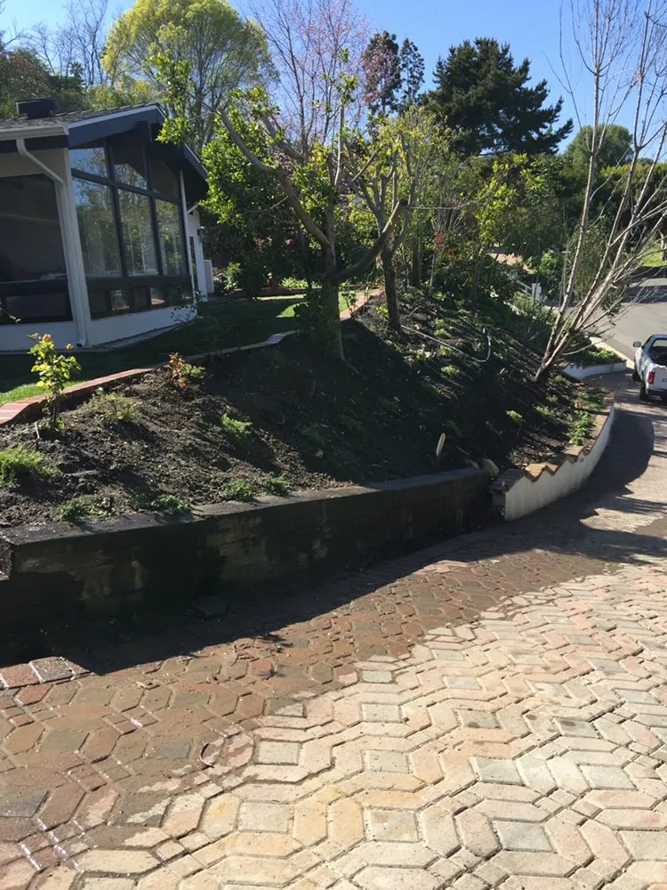 Affordable landscape design near you across Santa Monica, CA - Castro Lawncare