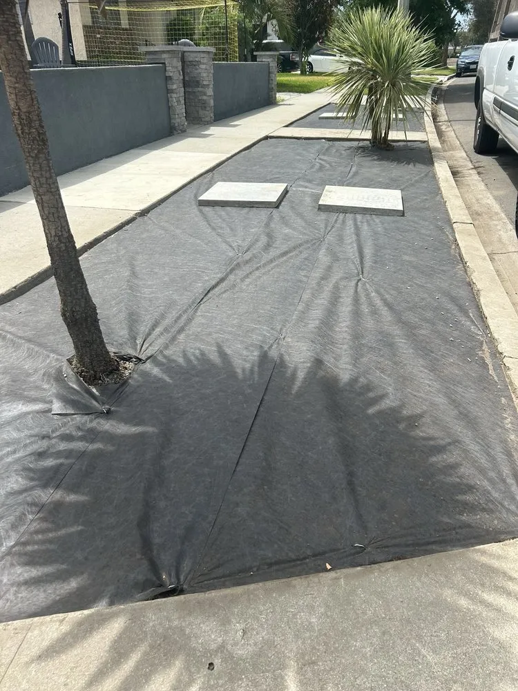 Top-rated yard maintenance experts serving Santa Monica, CA - Castro Lawncare