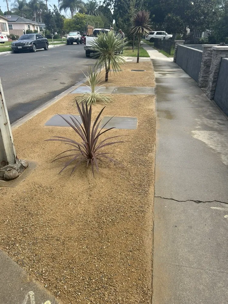 Reliable lawn care service in Santa Monica, CA - Castro Lawncare