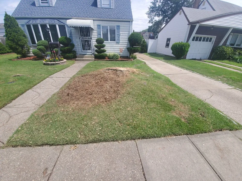 Affordable landscaping services near you across Hicksville, NY - Castro Rivera