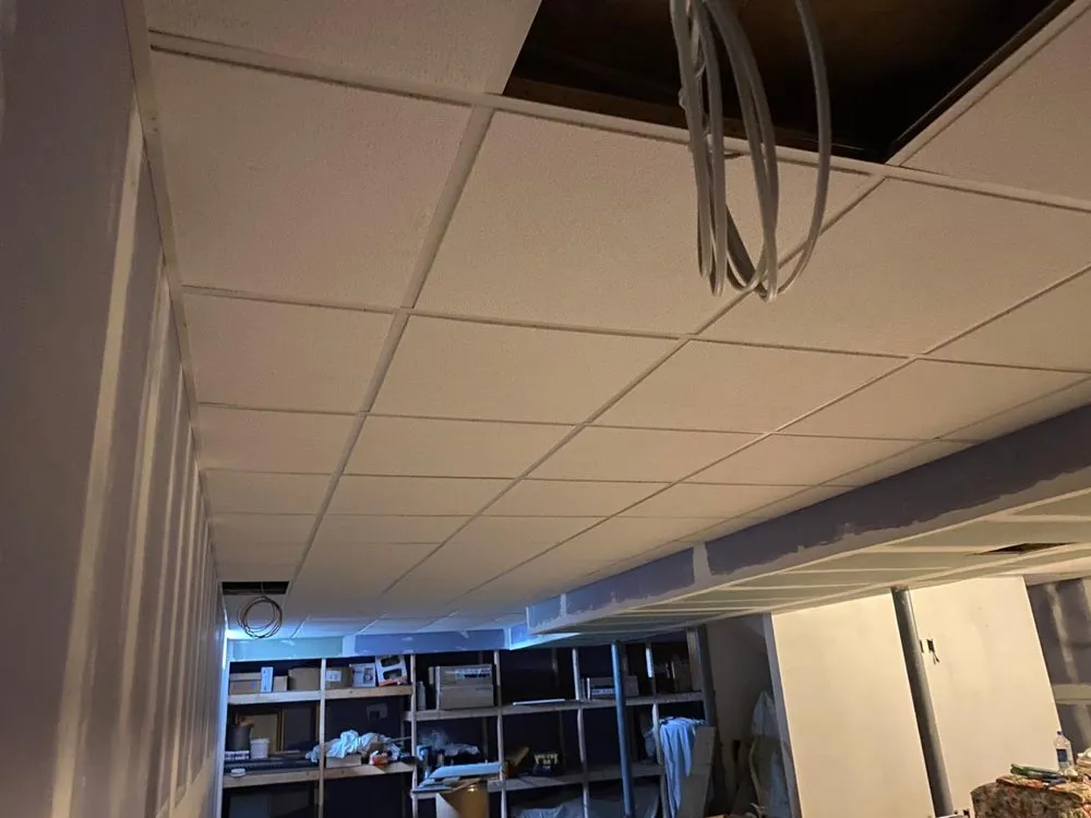 Expert yard maintenance for year-round maintenance in Meriden, CT by Castro Somat Cleaning And Carpet Installation Service