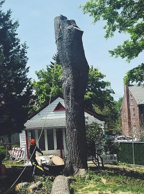 Reliable residential landscaping experts serving Yonkers, NY - Castro Tree Service