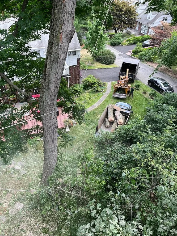 Professional landscape installation for beautiful yards in Yonkers, NY by Castro Tree Service