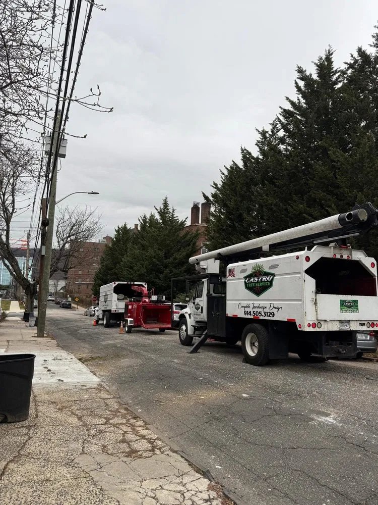 Professional lawn care service experts serving Yonkers, NY - Castro Tree Service