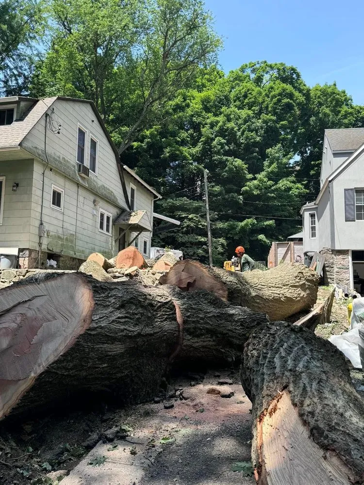 Professional yard maintenance experts serving Yonkers, NY - Castro Tree Service