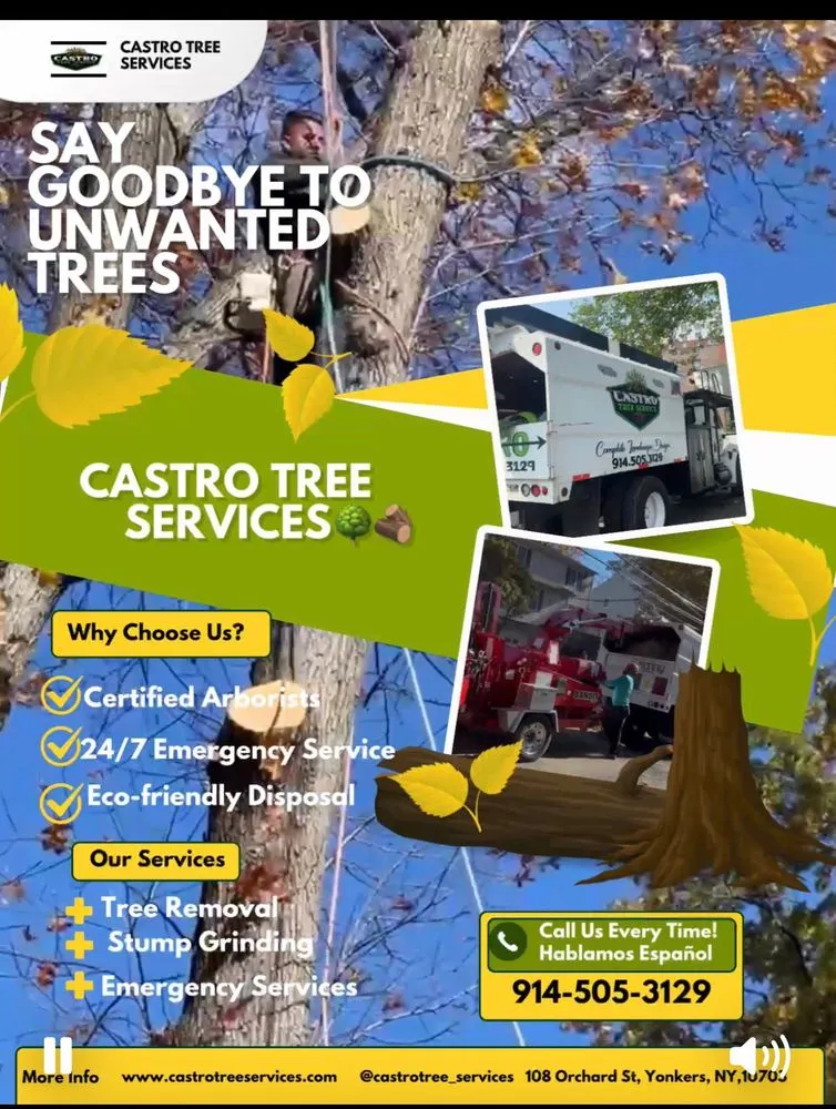 Custom yard cleanup service for homes in Yonkers, NY by Castro Tree Service