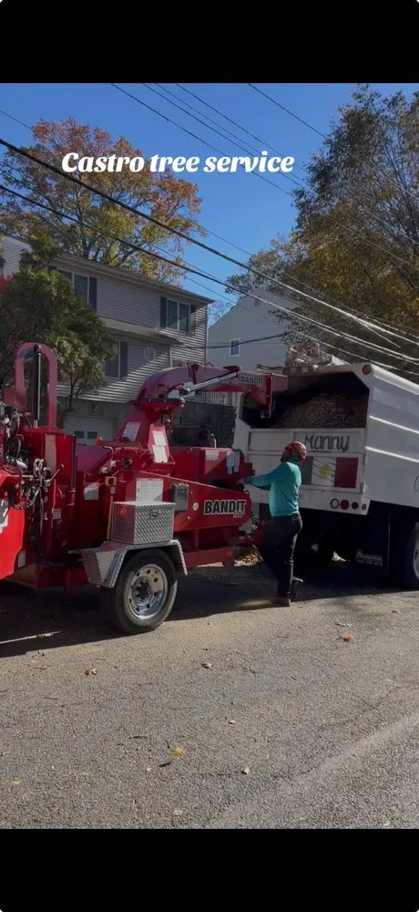 Professional landscape design experts serving Yonkers, NY - Castro Tree Service
