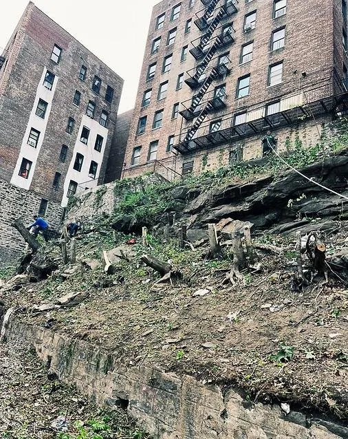 Local outdoor landscaping for year-round maintenance across Yonkers, NY - Castro Tree Service