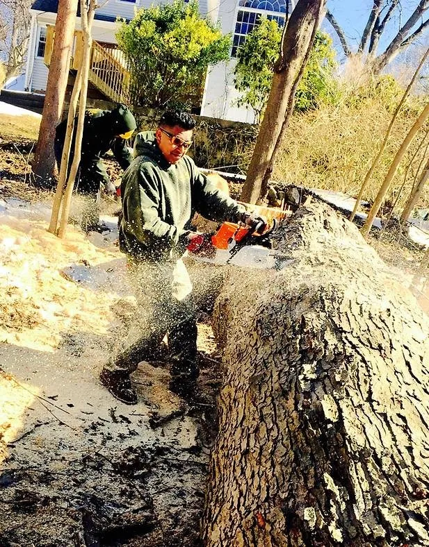 Reliable landscape installation for outdoor upgrades in Yonkers, NY by Castro Tree Service