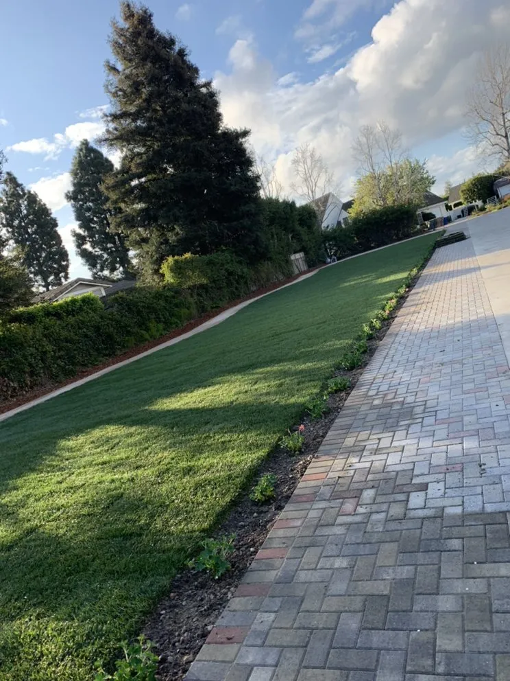 Expert lawn mowing service in Camarillo, CA by Castros Landscaping