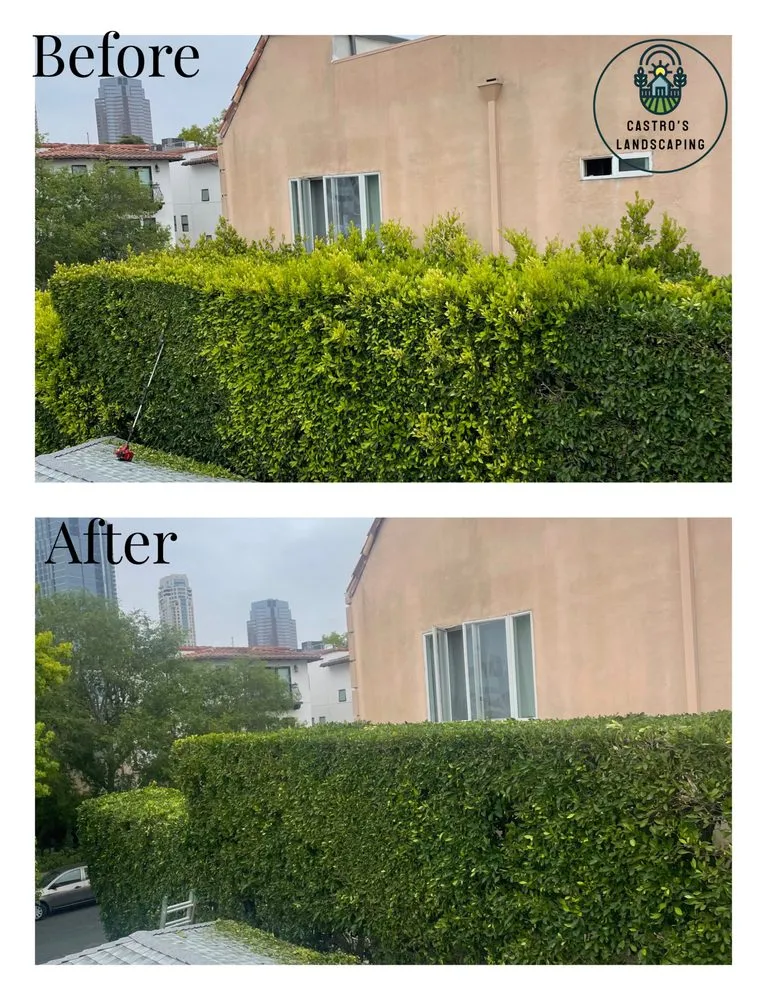 Custom lawn care service in Culver City, CA by Castro’s Landscaping