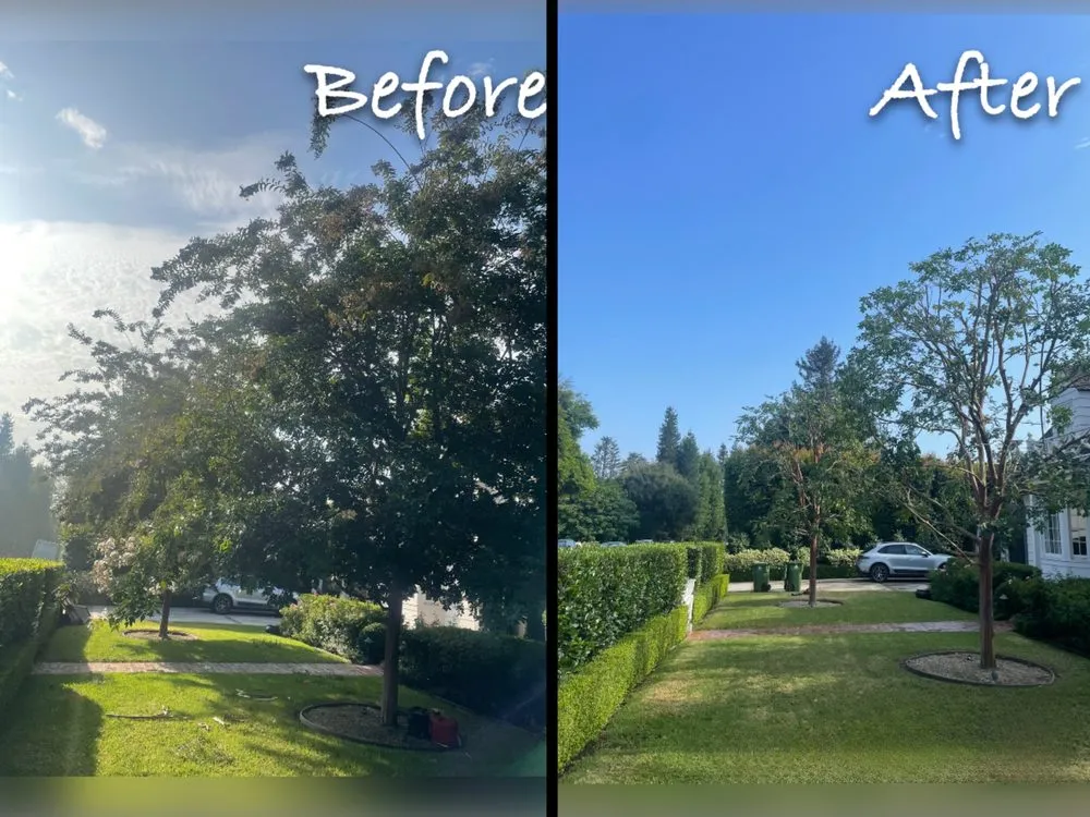 Local lawn mowing service experts serving Culver City, CA - Castro’s Landscaping