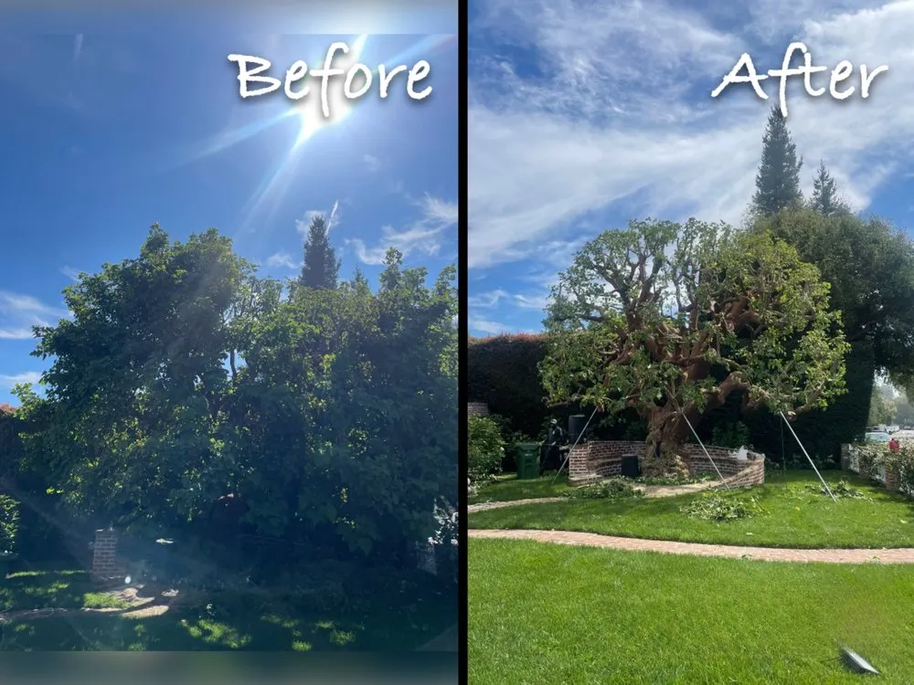 Local landscape installation for residential properties across Culver City, CA - Castro’s Landscaping
