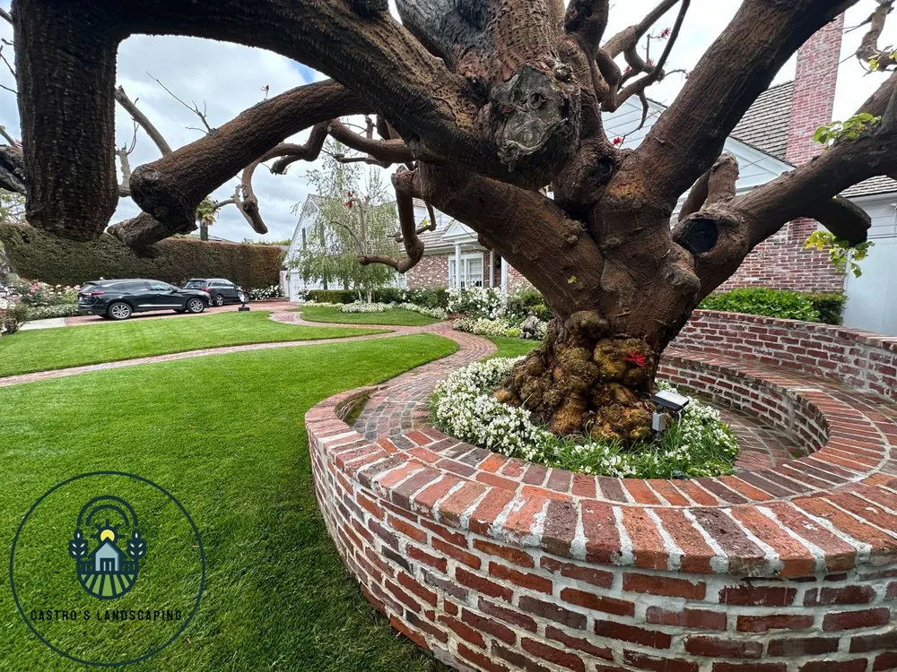 Top-rated outdoor landscaping in Culver City, CA by Castro’s Landscaping