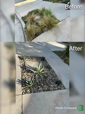 Castro’s Landscaping