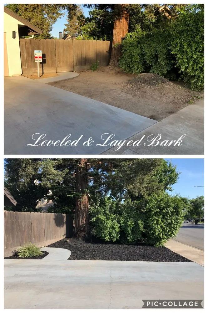 Top-rated yard cleanup service in Modesto, CA - Castro's Landscaping