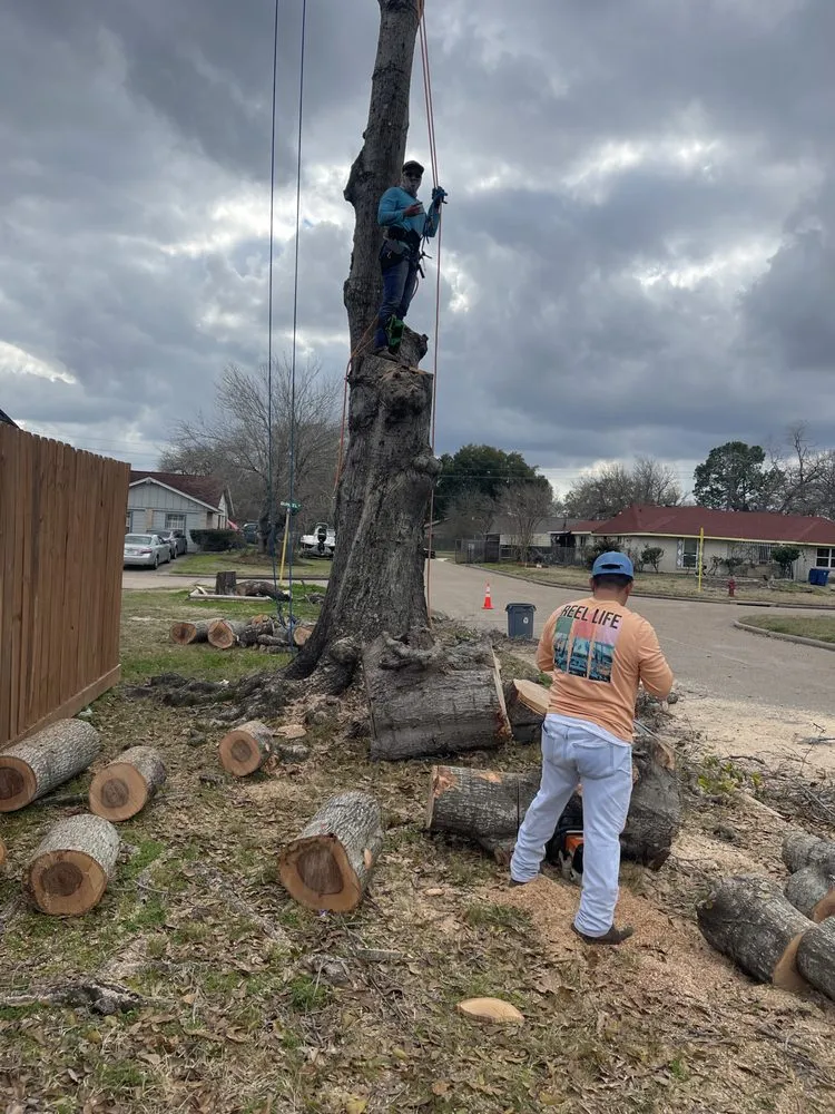 Local garden landscaping in Spring, TX - Castro's Tree Service