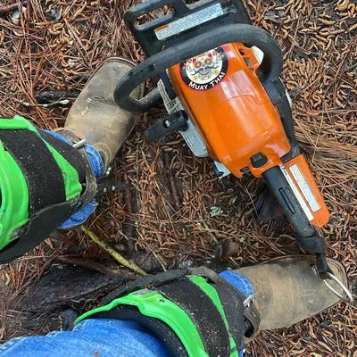 Castro's Tree Service Logo