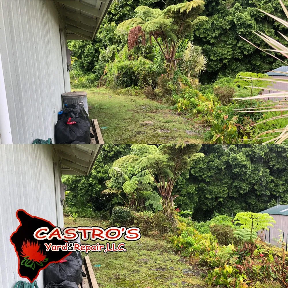 Local residential landscaping in Mountain View, HI by Castros yards & repairs